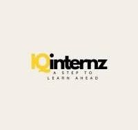 IQinternz